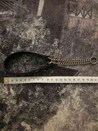 Pienen koiran nahkapanta Kotka