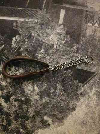 Nahkapanta pienelle koiralle Kotka