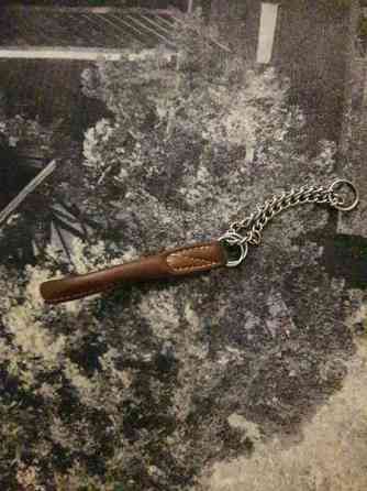 Nahkapanta pienelle koiralle Kotka