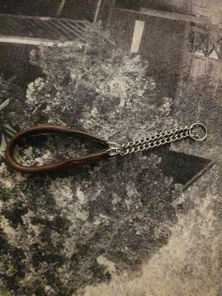 Nahkapanta pienelle koiralle Kotka – foto 2