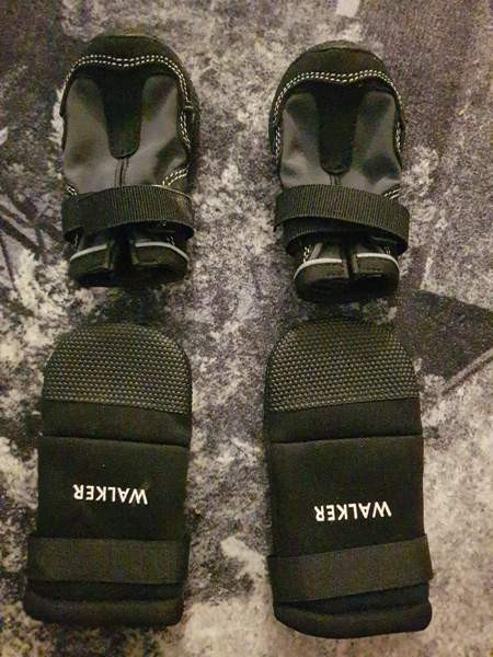 Koiran tossut, koko S Kotka - photo 1