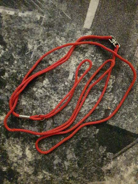 Näyttelyhihnat pienelle koiralle Kotka - valokuva 1