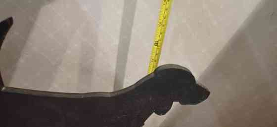 Koiran ruokakupit telineessä Вантаа