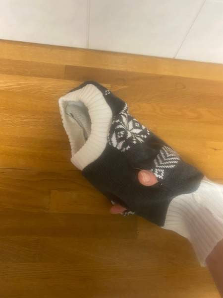 Lämmin talvineule koiralle Kauniainen – foto 3