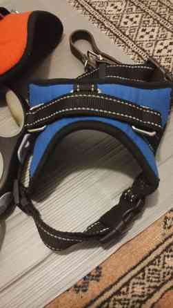 Koiran tarvikkeita Turku