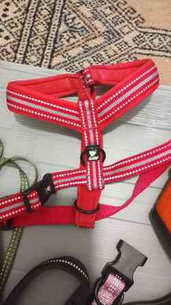 Koiran tarvikkeita Turku