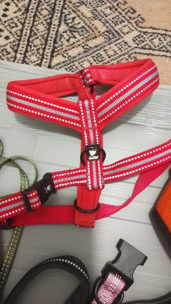 Koiran tarvikkeita Turku - photo 6