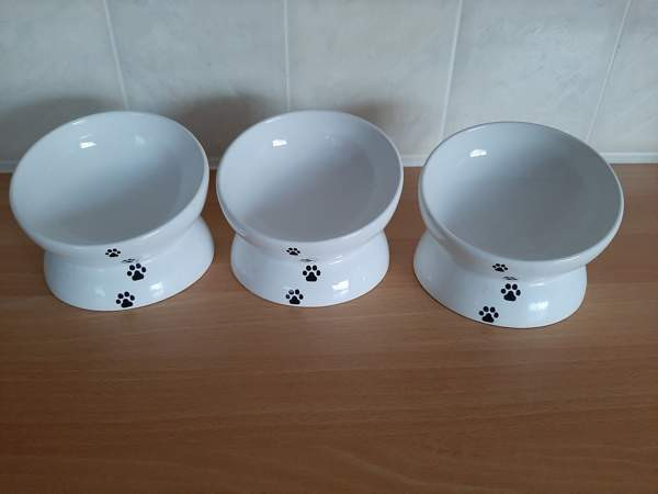 Ergonominen korotettu keraaminen ruokakuppi koiralle/kissalle Taivalkoski - photo 1