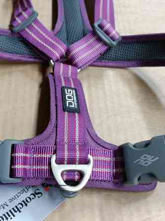 Valjaat Dog Copenhagen Walk Air xl Eura