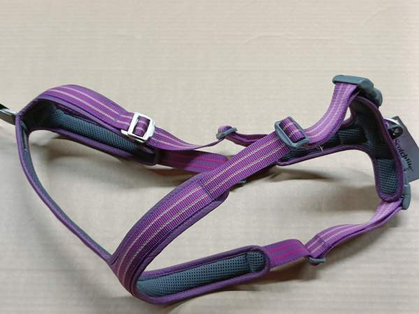 Valjaat Dog Copenhagen Walk Air xl Eura - valokuva 2