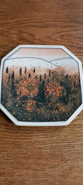 Arabia  Finnair seinälautaset 2kpl Salo - photo 1