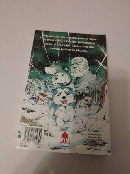 Hopeanuoli keräilysetti Hyvinkää - valokuva 7