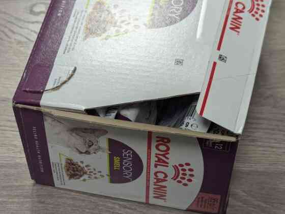 Royal Canin Sensory Smell kastikkeessa Jyvaeskylae