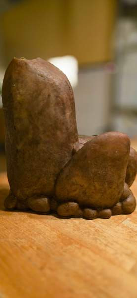 Exo terra Outcrops medium Kangasniemi – foto 1