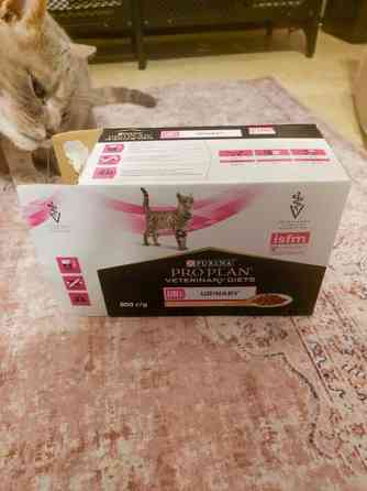 Purina Urinary kissanruoka Jyvaeskylae