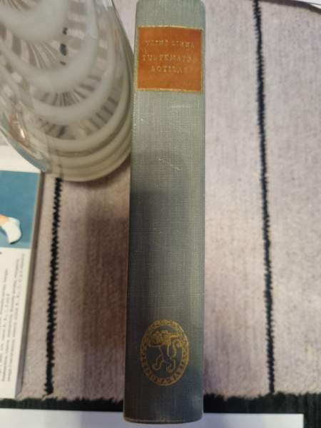 Tuntematon sotilas Helsinki – foto 3