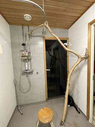 Raapimapuu kissalle Oulu