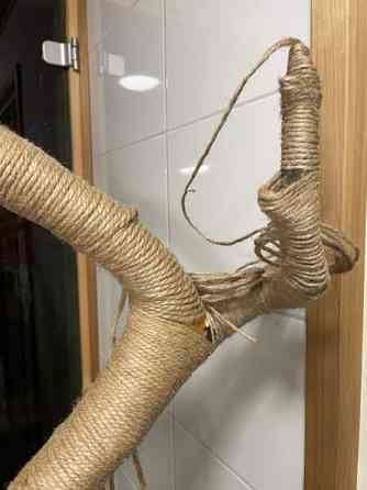 Raapimapuu kissalle Oulu