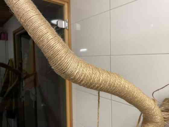 Raapimapuu kissalle Oulu