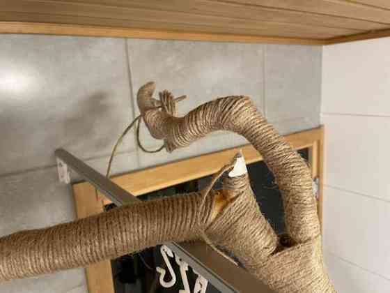 Raapimapuu kissalle Oulu