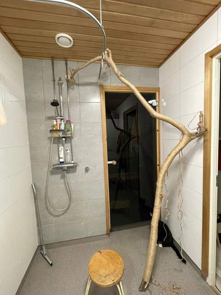 Raapimapuu kissalle Oulu - photo 1