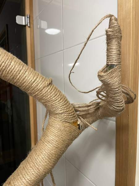 Raapimapuu kissalle Oulu - photo 3