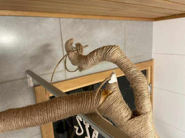 Raapimapuu kissalle Oulu - photo 5