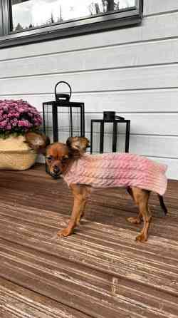 Mohair villapaita koiralle Kuopio