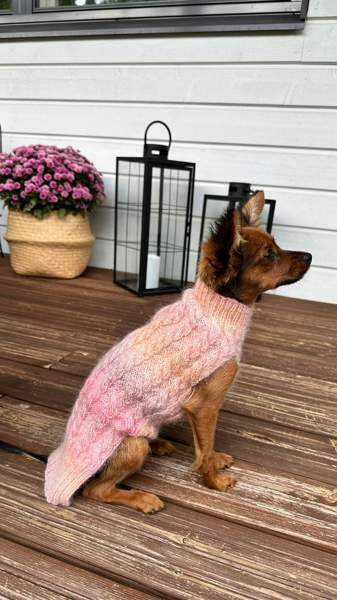 Mohair villapaita koiralle Kuopio – foto 1