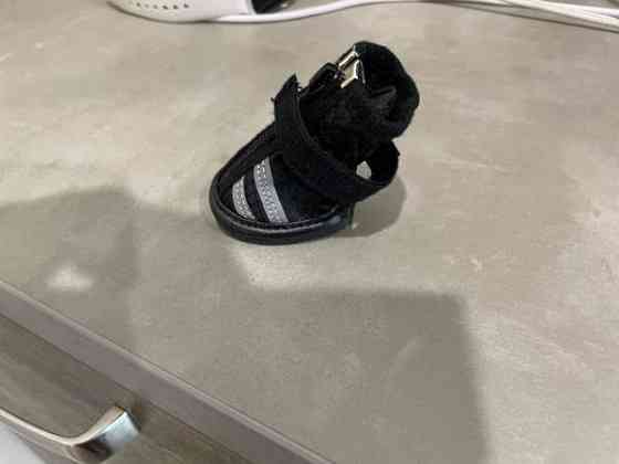 Pienen koiran Rukka tossut Haemeenlinna