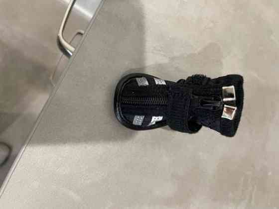 Pienen koiran Rukka tossut Haemeenlinna