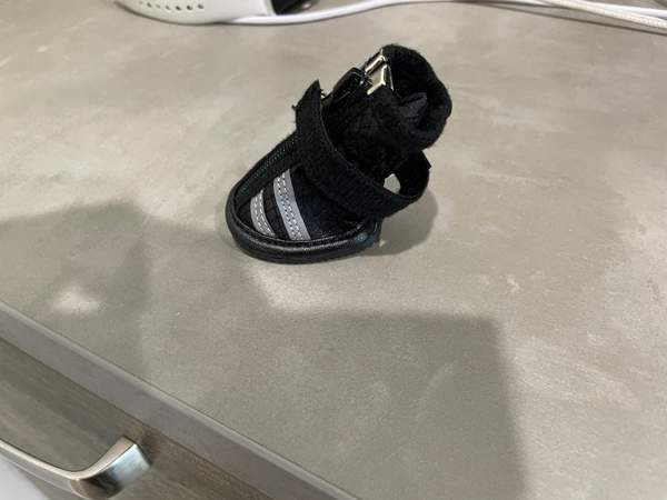 Pienen koiran Rukka tossut Haemeenlinna - photo 1