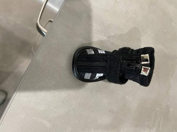 Pienen koiran Rukka tossut Haemeenlinna - photo 5