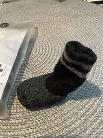 Pienen koiran Basic Paws sukat Haemeenlinna