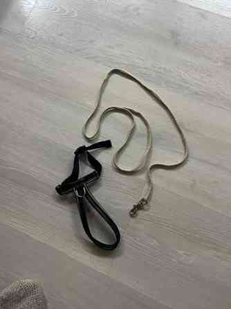 Kissan valjaat ja talutushihna Tuusula