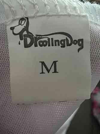 Pienen koiran toppi Kuopio