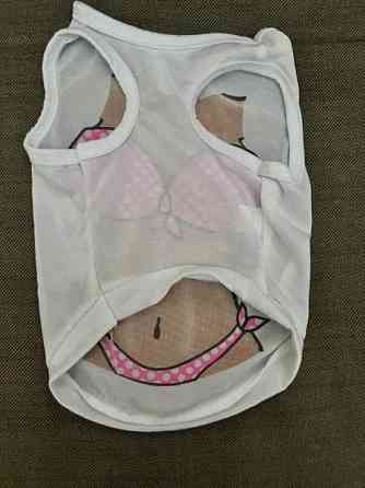 Pienen koiran toppi Kuopio