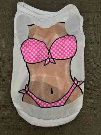 Pienen koiran toppi Kuopio