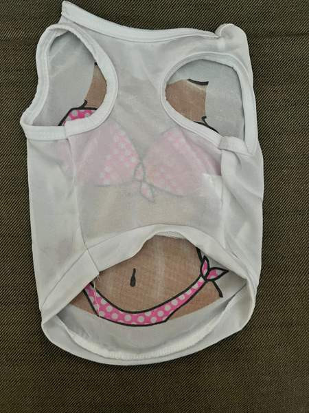 Pienen koiran toppi Kuopio - photo 3