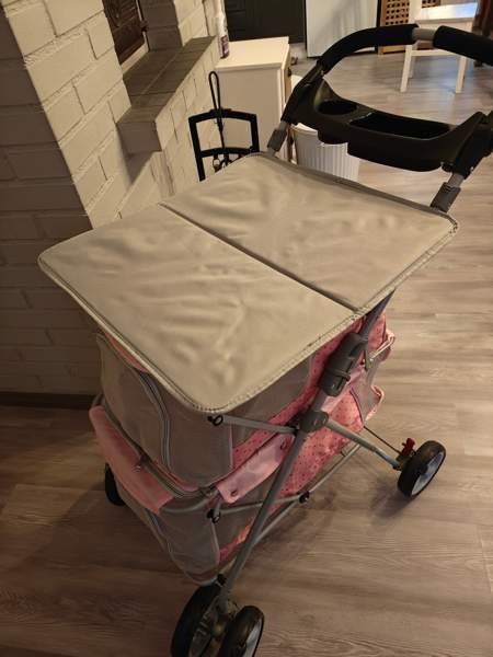 Koiran näyttely pöytärattaat Торнио - изображение 3