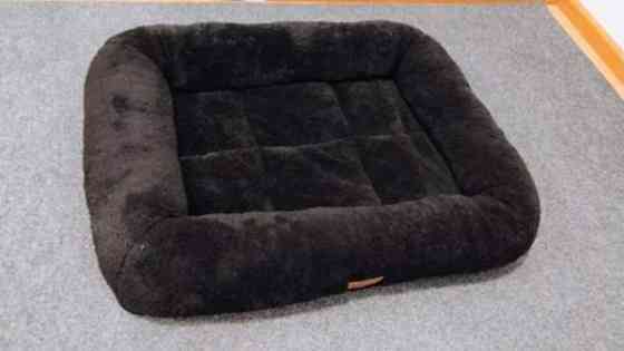 Showmaster koiran patja Valkeakoski