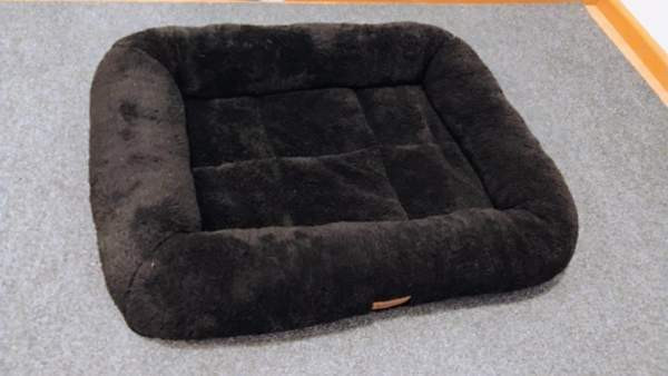 Showmaster koiran patja Valkeakoski – foto 1