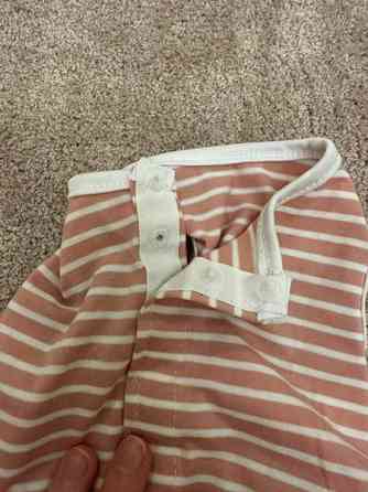 Koiran tai kissan asu, uusi Хейнола