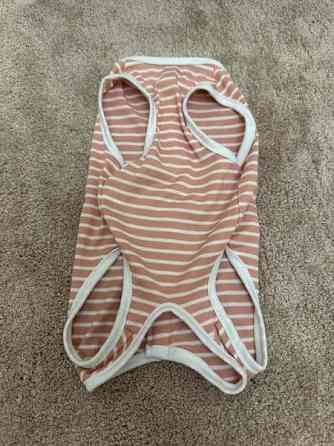 Koiran tai kissan asu, uusi Хейнола