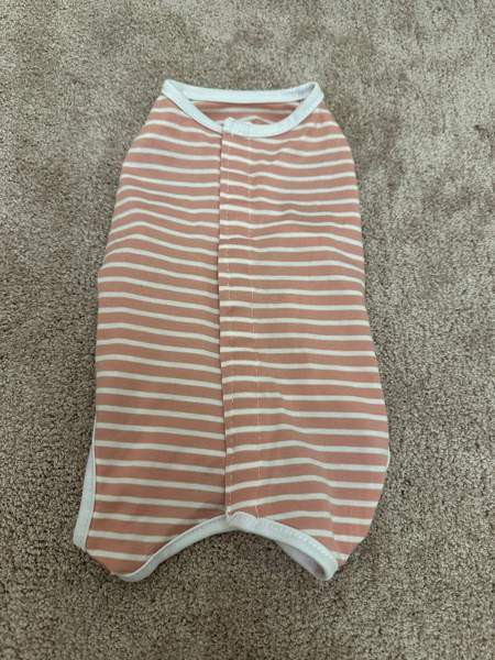 Koiran tai kissan asu, uusi Heinola – foto 1