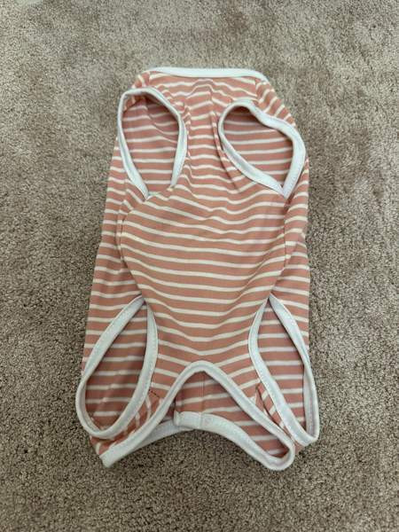 Koiran tai kissan asu, uusi Heinola – foto 2