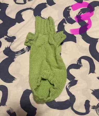 Pienen koiran puvut Рийхимяки