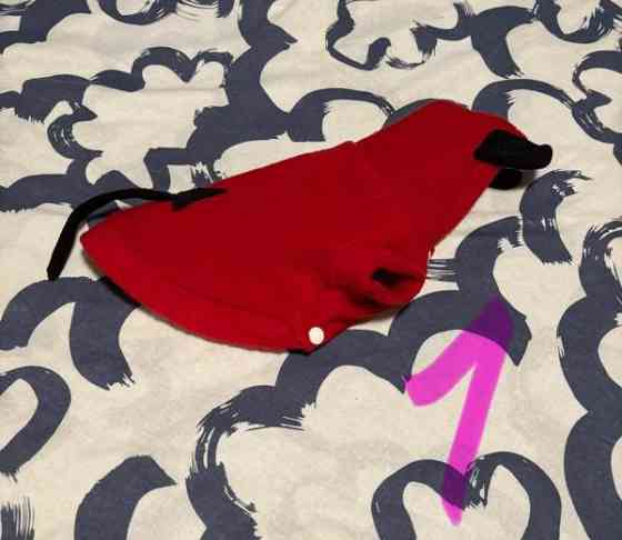 Pienen koiran puvut Рийхимяки