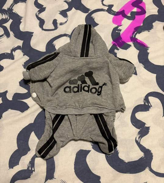 Pienen koiran puvut Рийхимяки - изображение 2