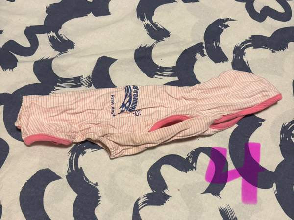 Pienen koiran puvut Рийхимяки - изображение 4